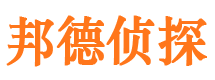 清新侦探